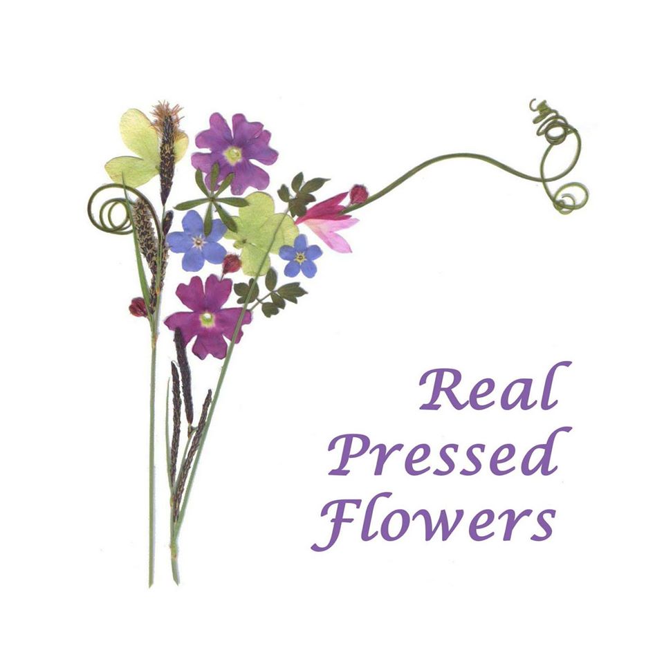 Glass-tonbury Festival real pressed flowers - Glass-tonbury Festival