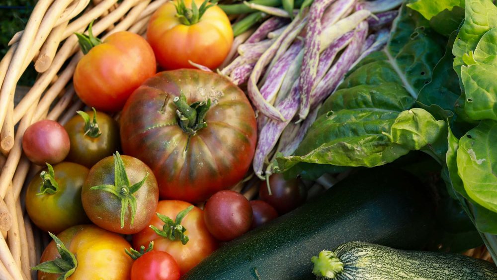 Why Harvest Crafts Are Here To Stay