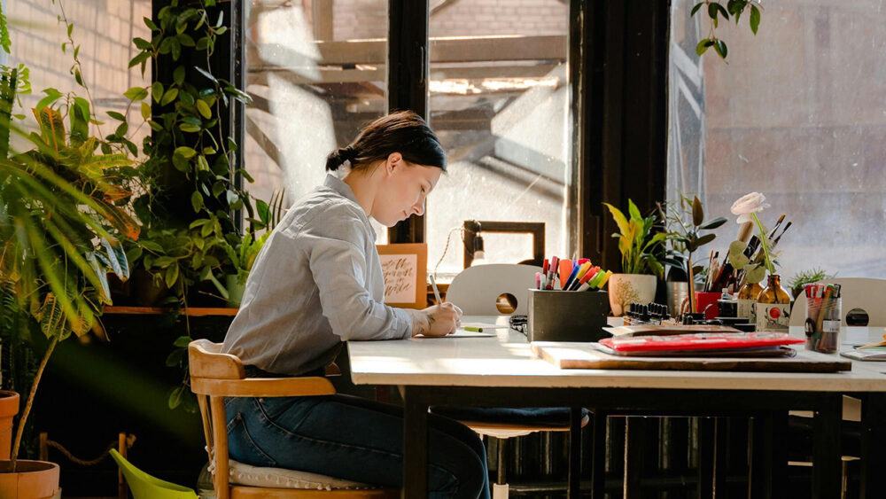 Everything You Need To Know About Sole Trader Cover